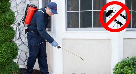 Esenler Kemirgen İlaçlama böcek ilaçlama ve haşere kontrolü — ilaclama-tr.com